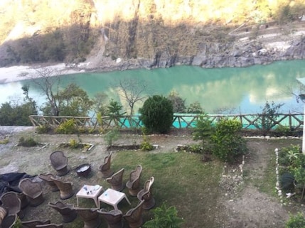 Kiwi Pine Tree Adventure and Trek